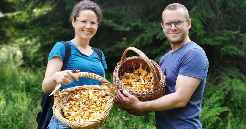 Pfifferlinge - unsere Ausbeute