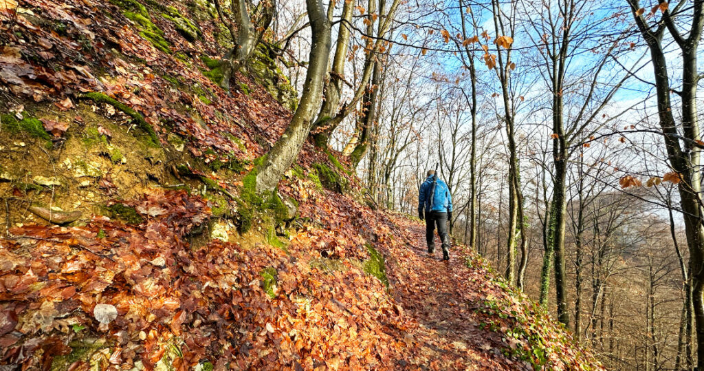 Wunderschöne Waldpfade