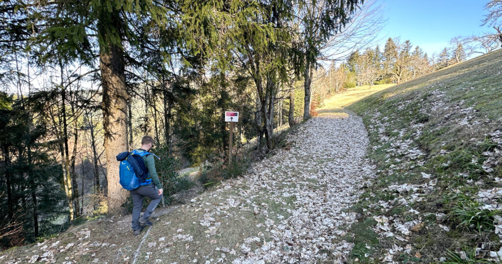 Nach dem steilen Wiesenpfad geht es in den Wald