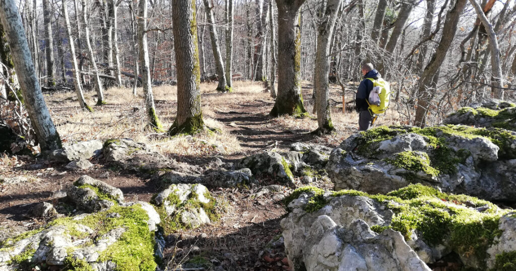 Wunderschöne Wanderwege